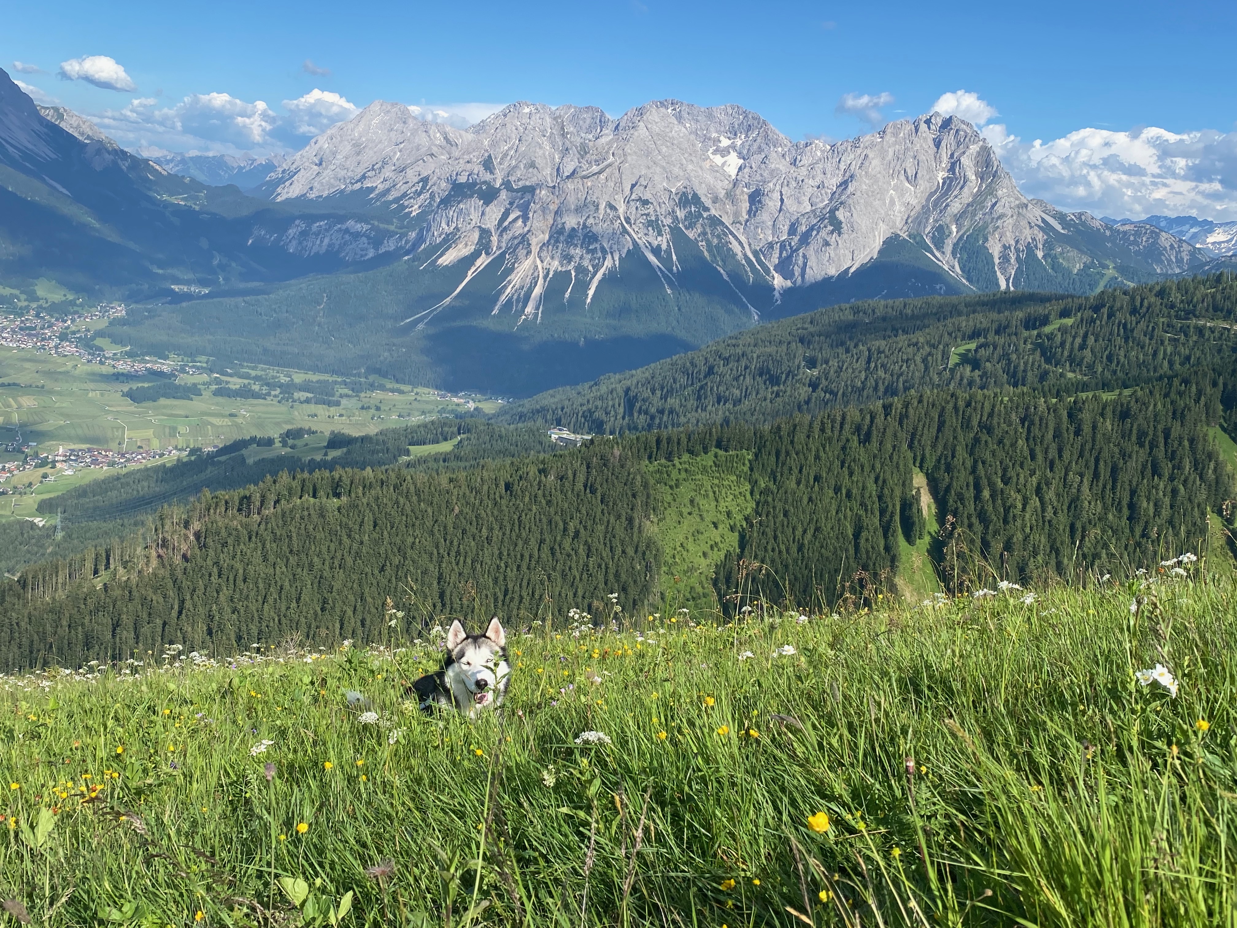 Panorama Tour in der Tiroler Zugspitzarena